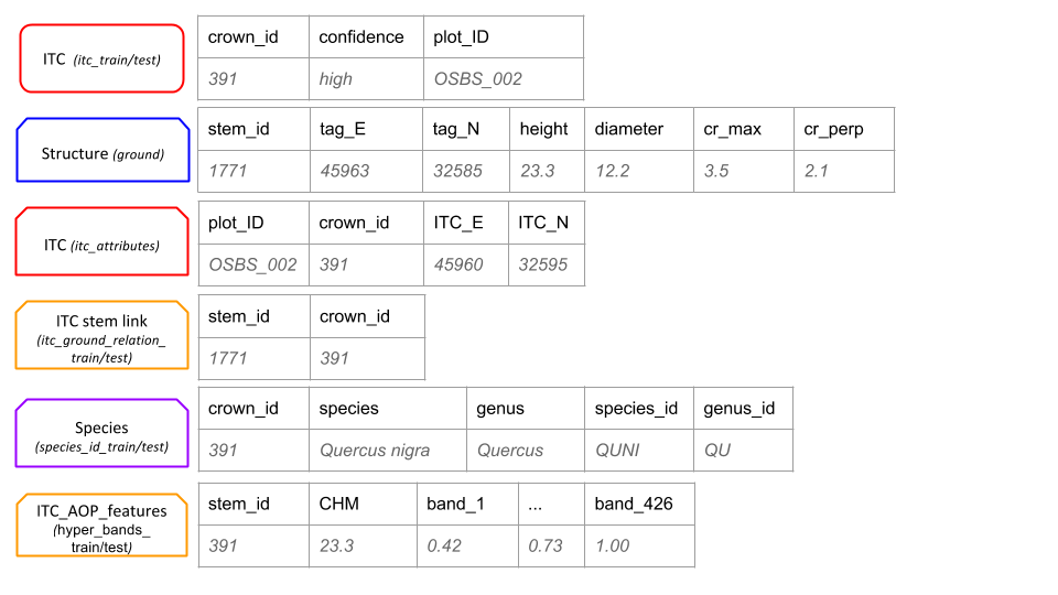 Figure showing examples of training and test data types for each task